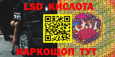 прущие грибы Донской
